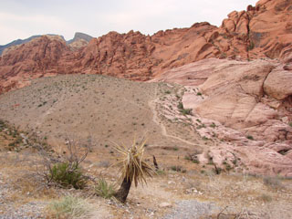 Red Rocks